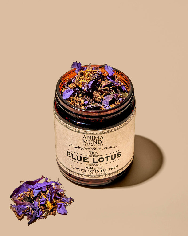 Buy Anima Mundi Blue Lotus Tea: Flower of Intuition, Wildcrafted at Pure Feast